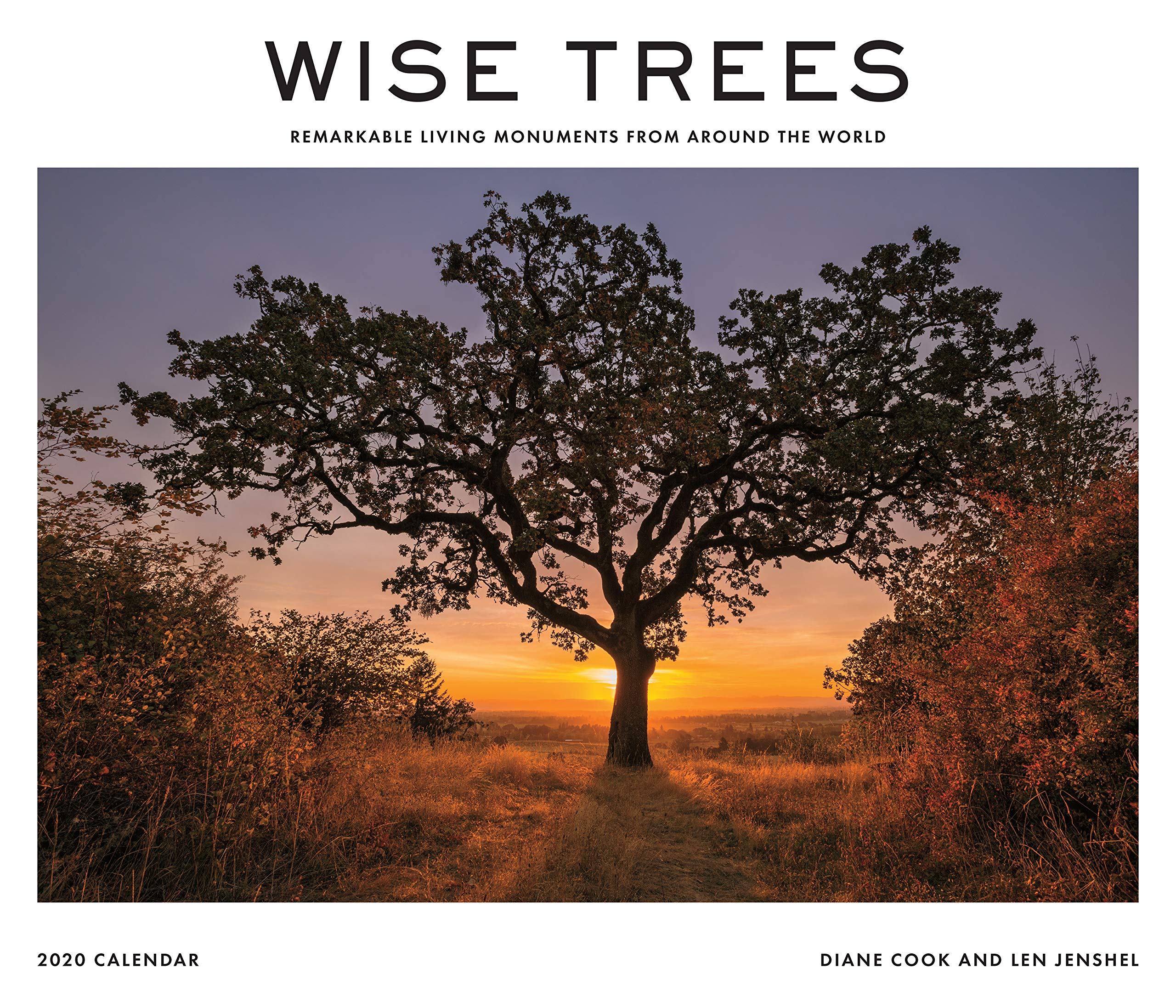 Wise Trees 2020 Wall Calendar: Remarkable Living Monuments from Around the World Photography