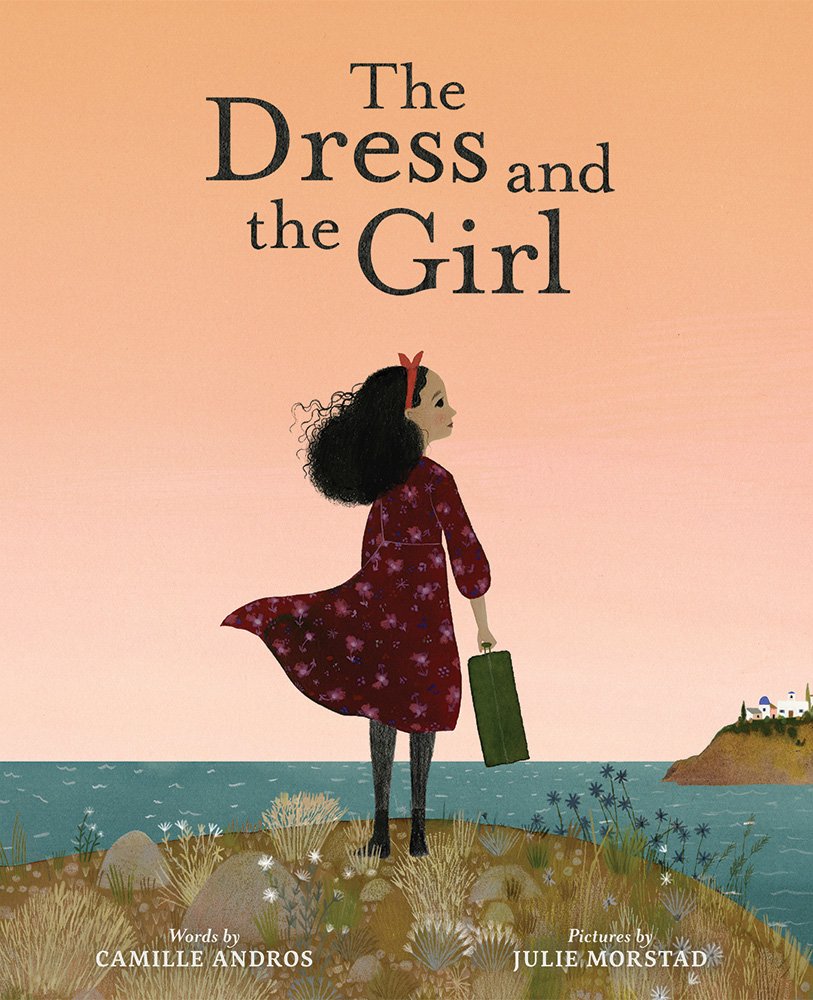 The Dress and the Girl book