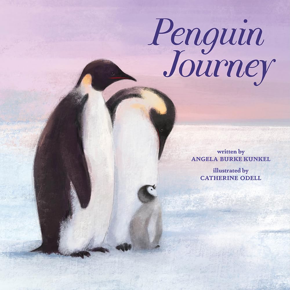 Penguin Journey: A Picture Book Non-fiction