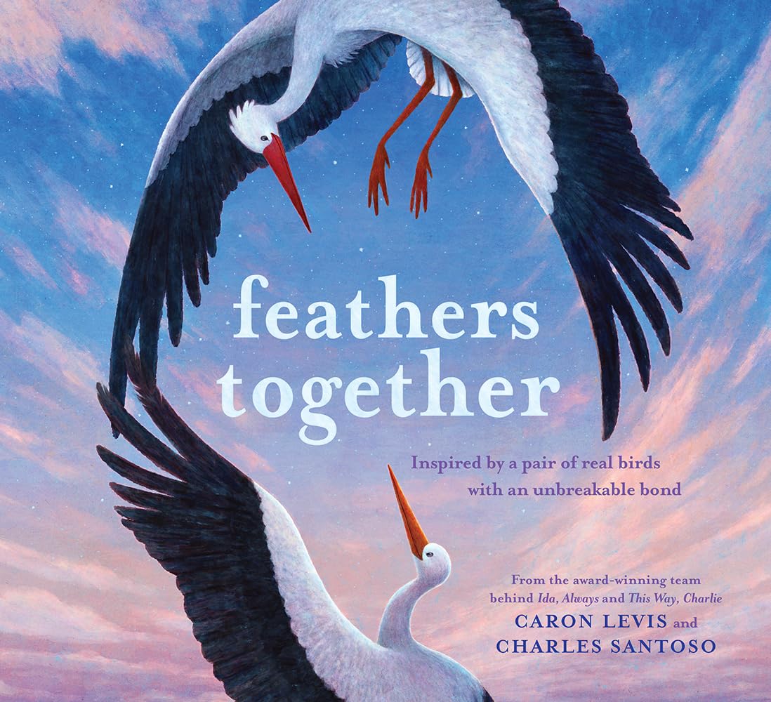Feathers Together: A Picture Book (Feeling Friends) Non-fiction