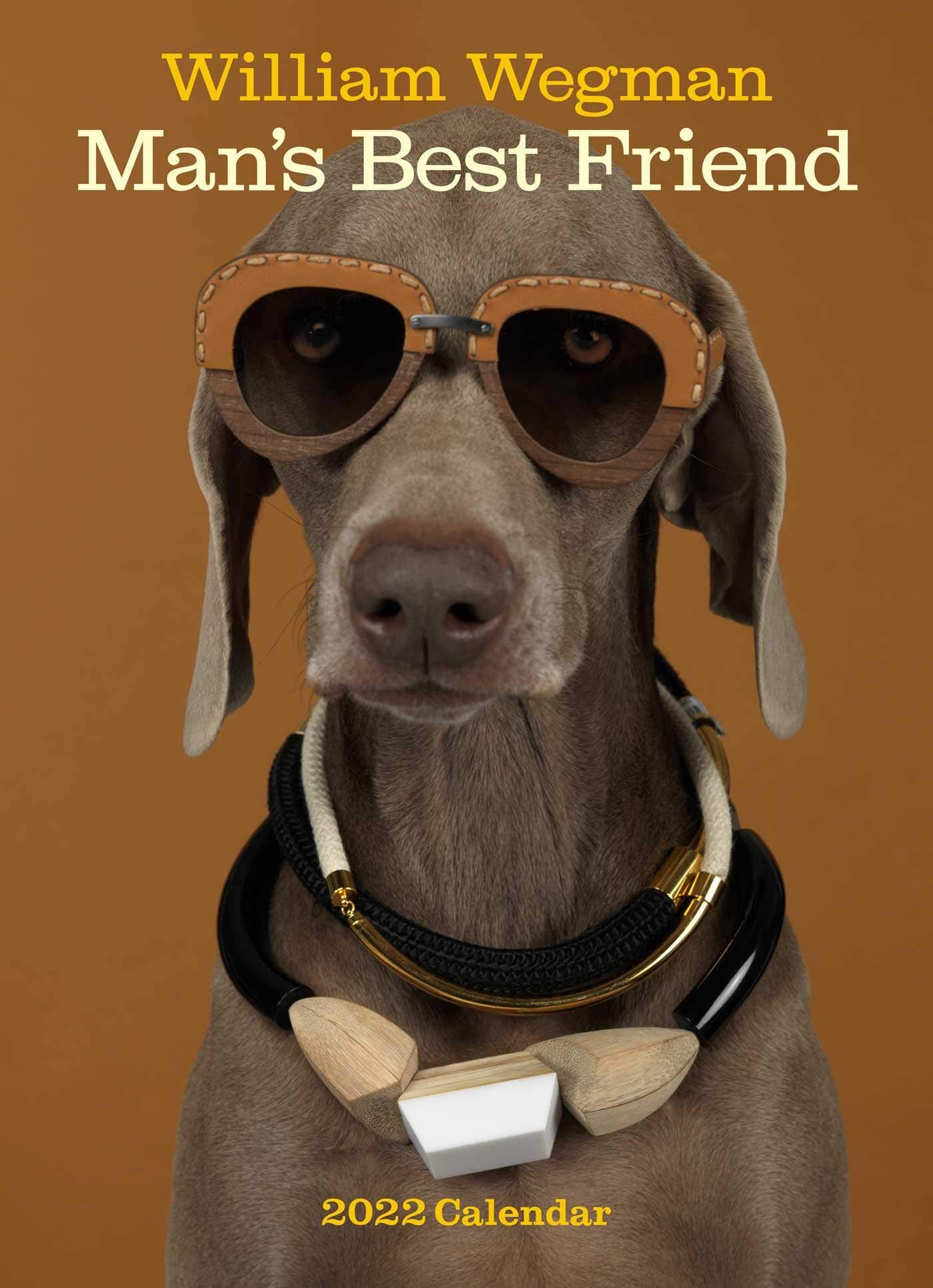 William Wegman Man's Best Friend 2022 Wall Calendar Film, Art & Culture