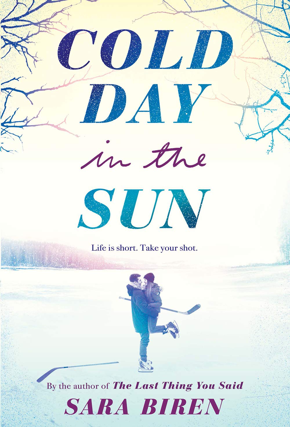 Cold Day in the Sun: Sara Biren Contemporary literature