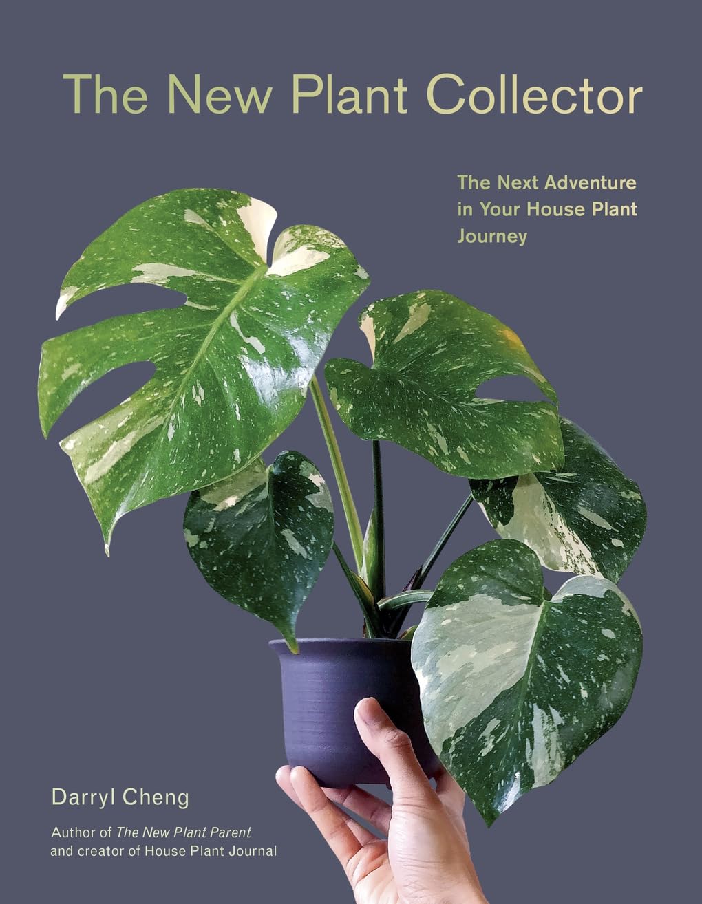 New Plant Collector: The Next Adventure in Your House Plant Journey Garden & Plants