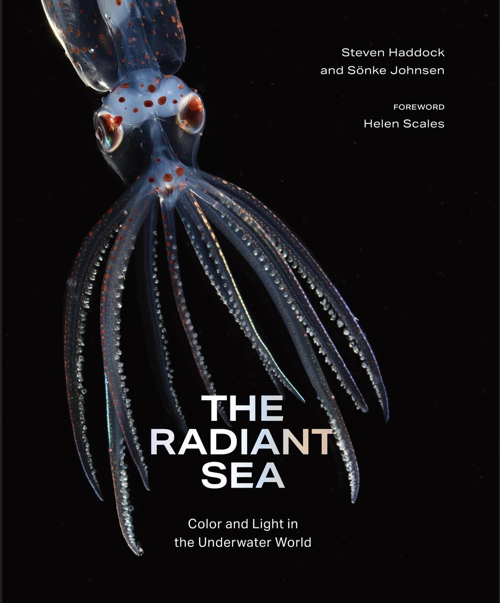 The Radiant Sea: Color and Light in the Underwater World Mathematics