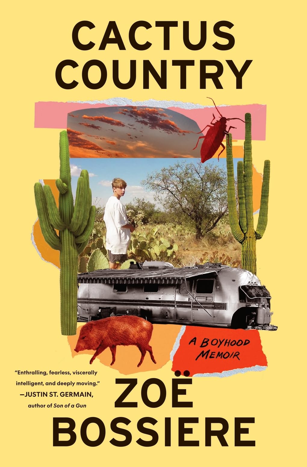 Cactus Country: A Boyhood Memoir book