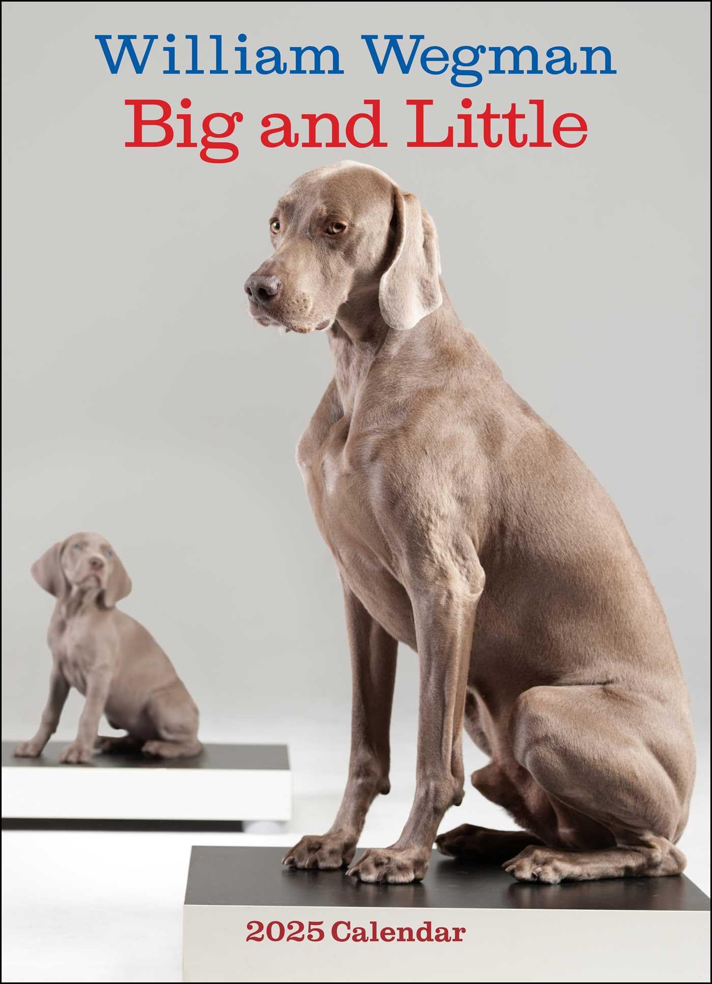 William Wegman Big and Little 2025 Wall Calendar Photography