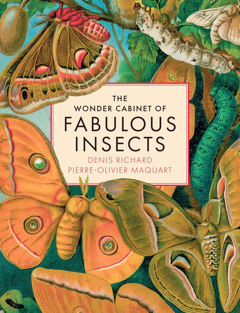 The Wonder Cabinet of Fabulous Insects Mathematics