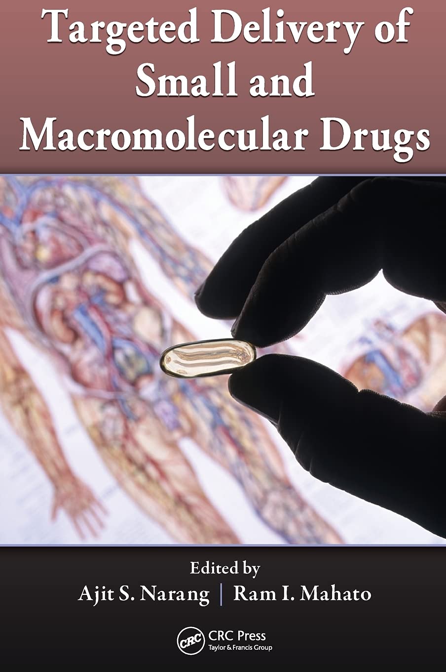 Targeted Delivery of Small and Macromolecular Drugs Medicine