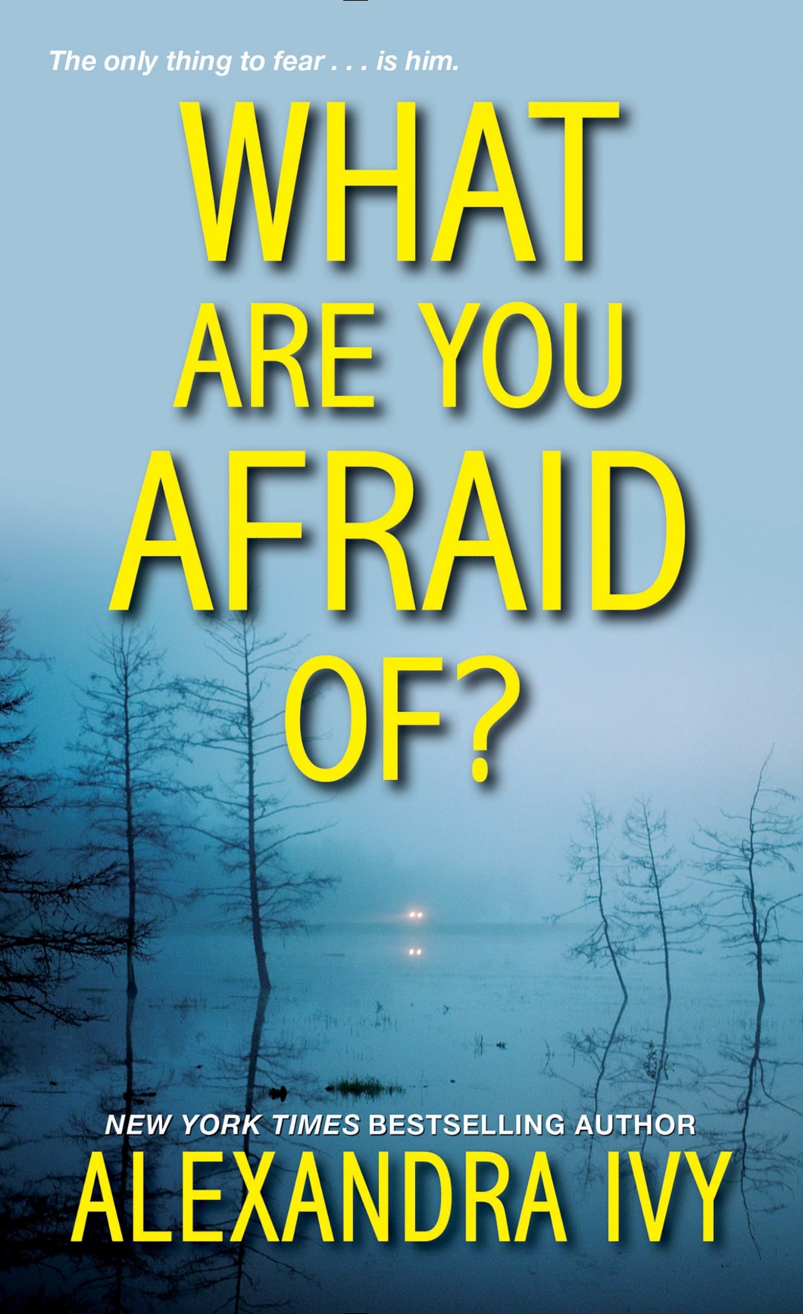 What Are You Afraid Of? (The Agency, Band 2) Contemporary literature