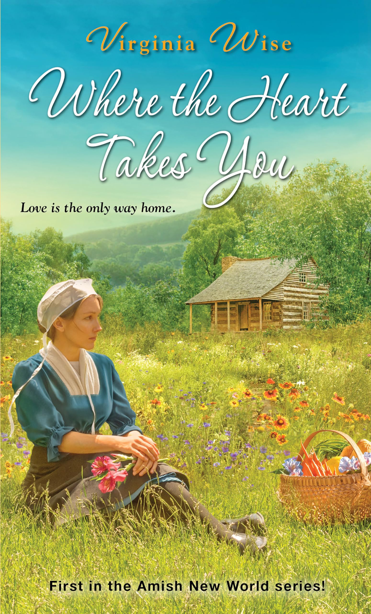 Where the Heart Takes You (Amish New World, Band 1) Contemporary literature