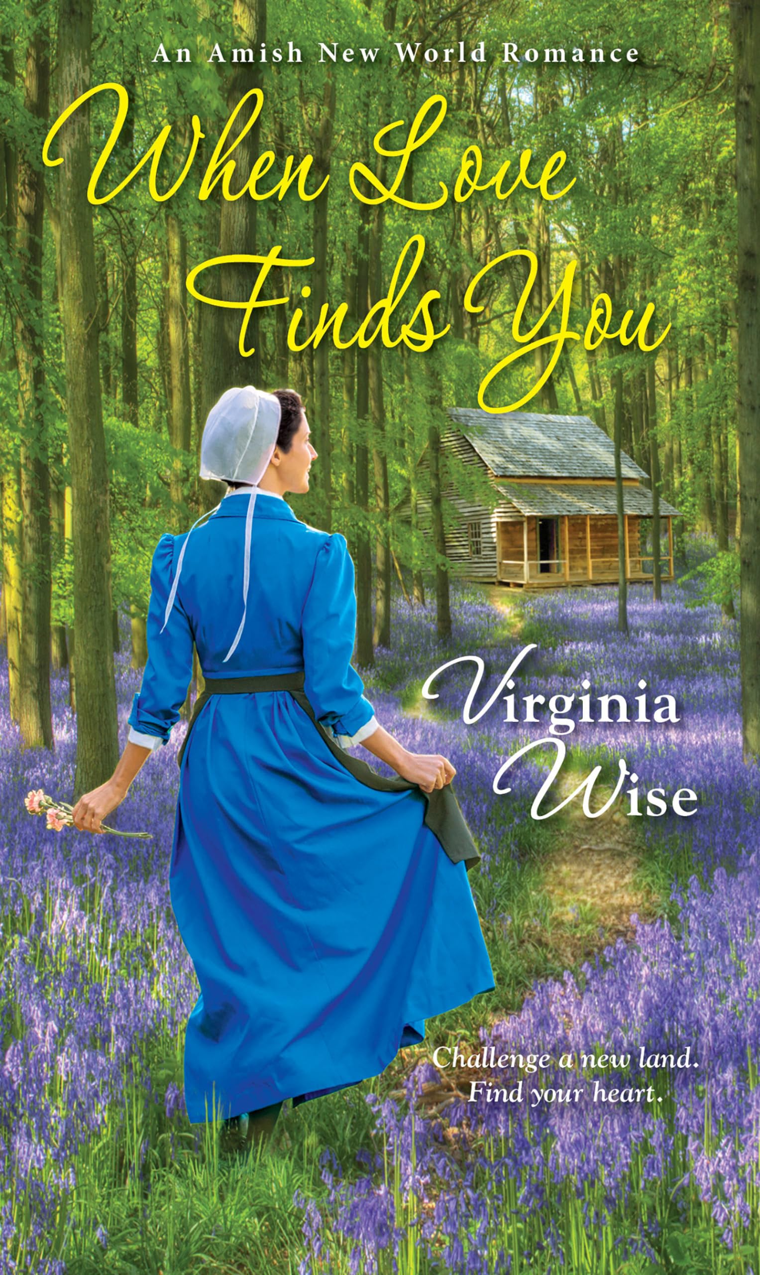 When Love Finds You (Amish New World, Band 2) Contemporary Romance