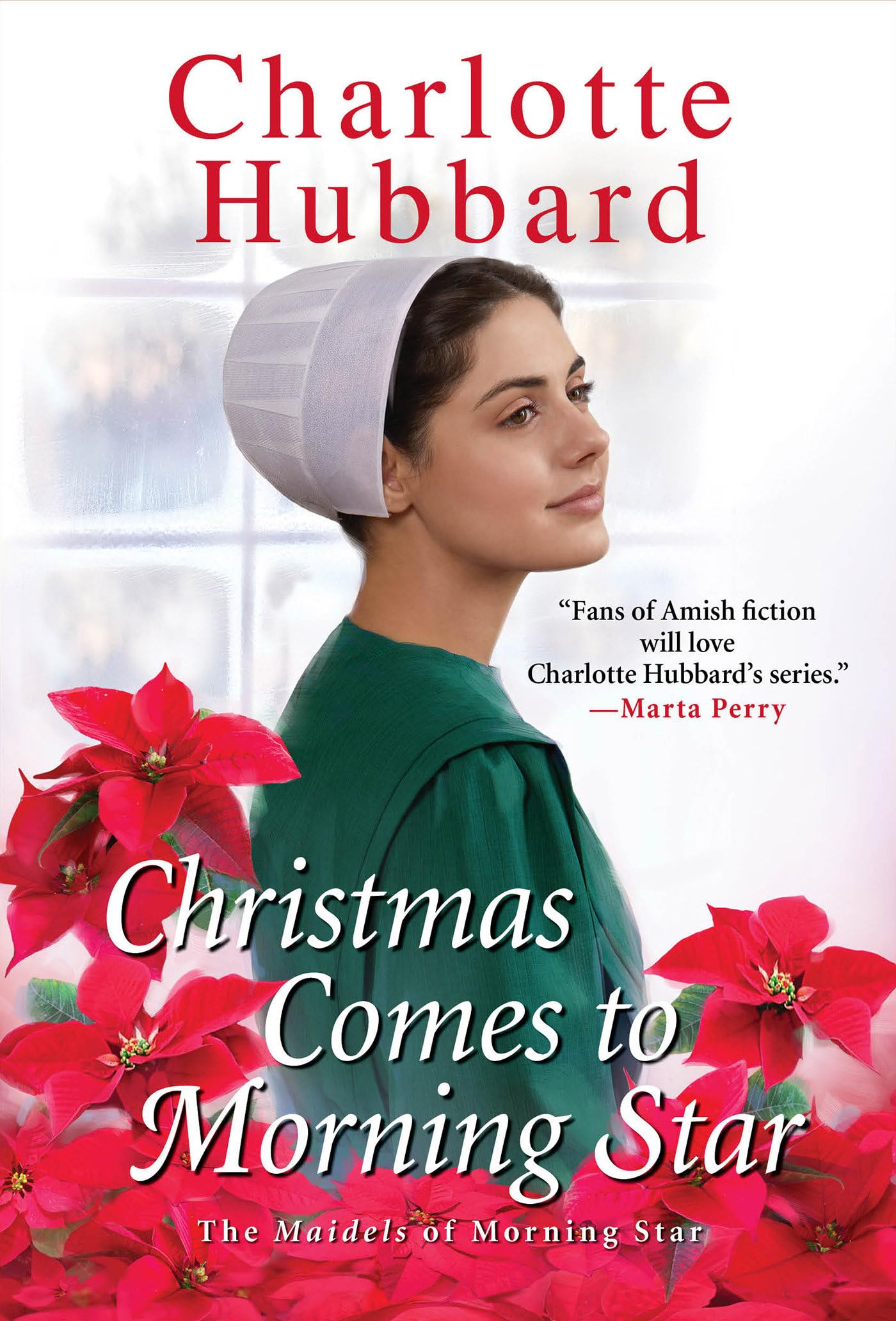Christmas Comes to Morning Star book