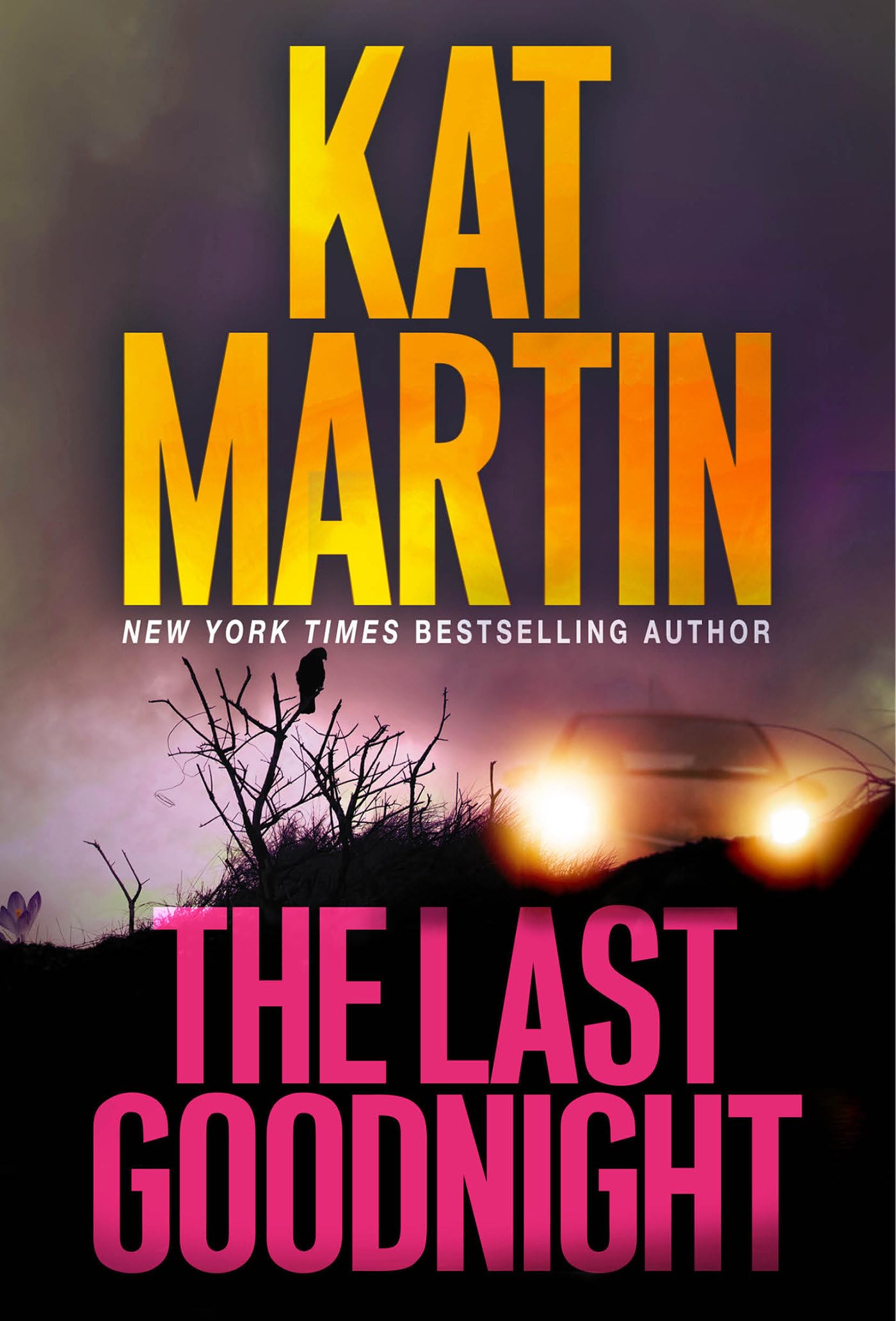 Product Image: The Last Goodnight