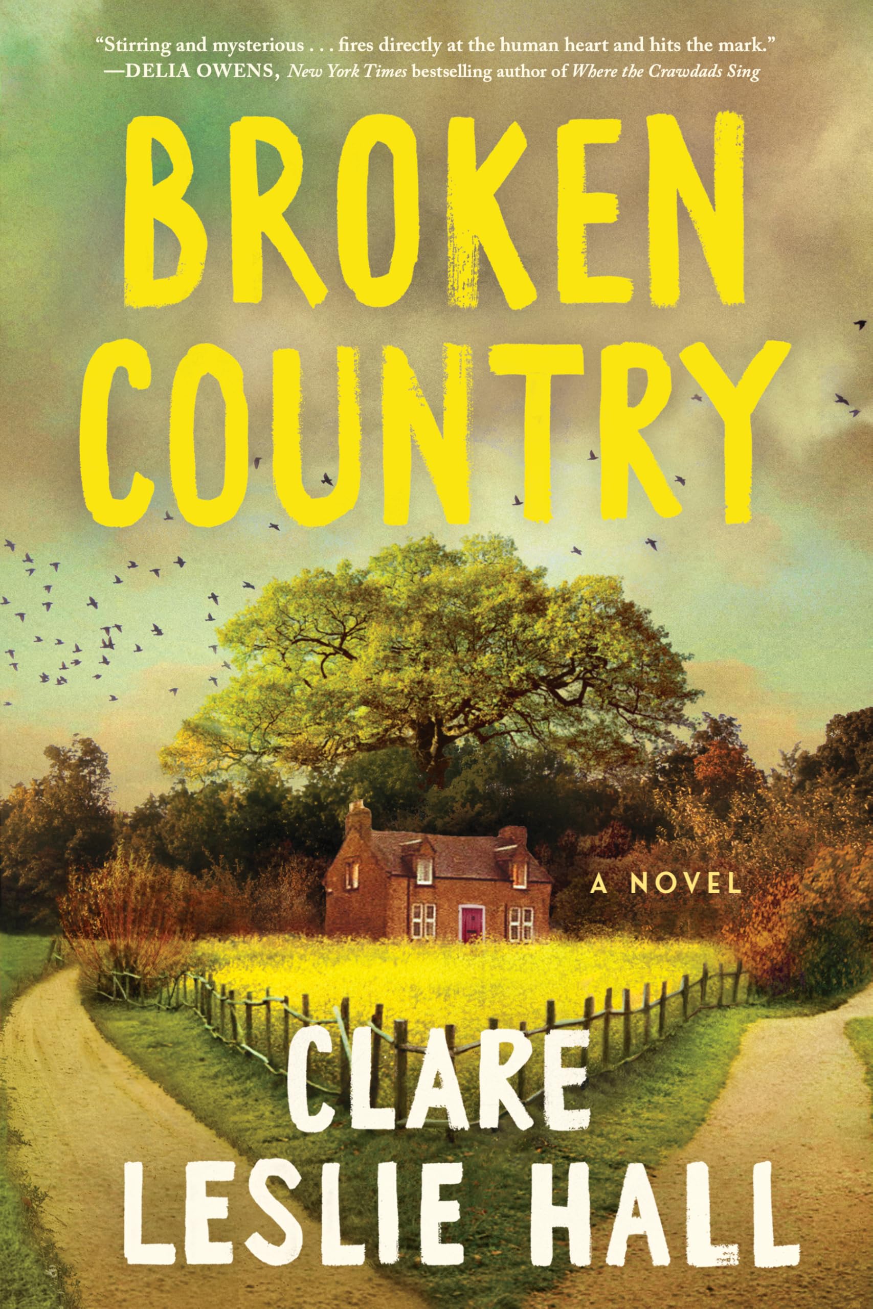 Broken Country (Thorndike Press Large Print Top Shelf) Contemporary literature