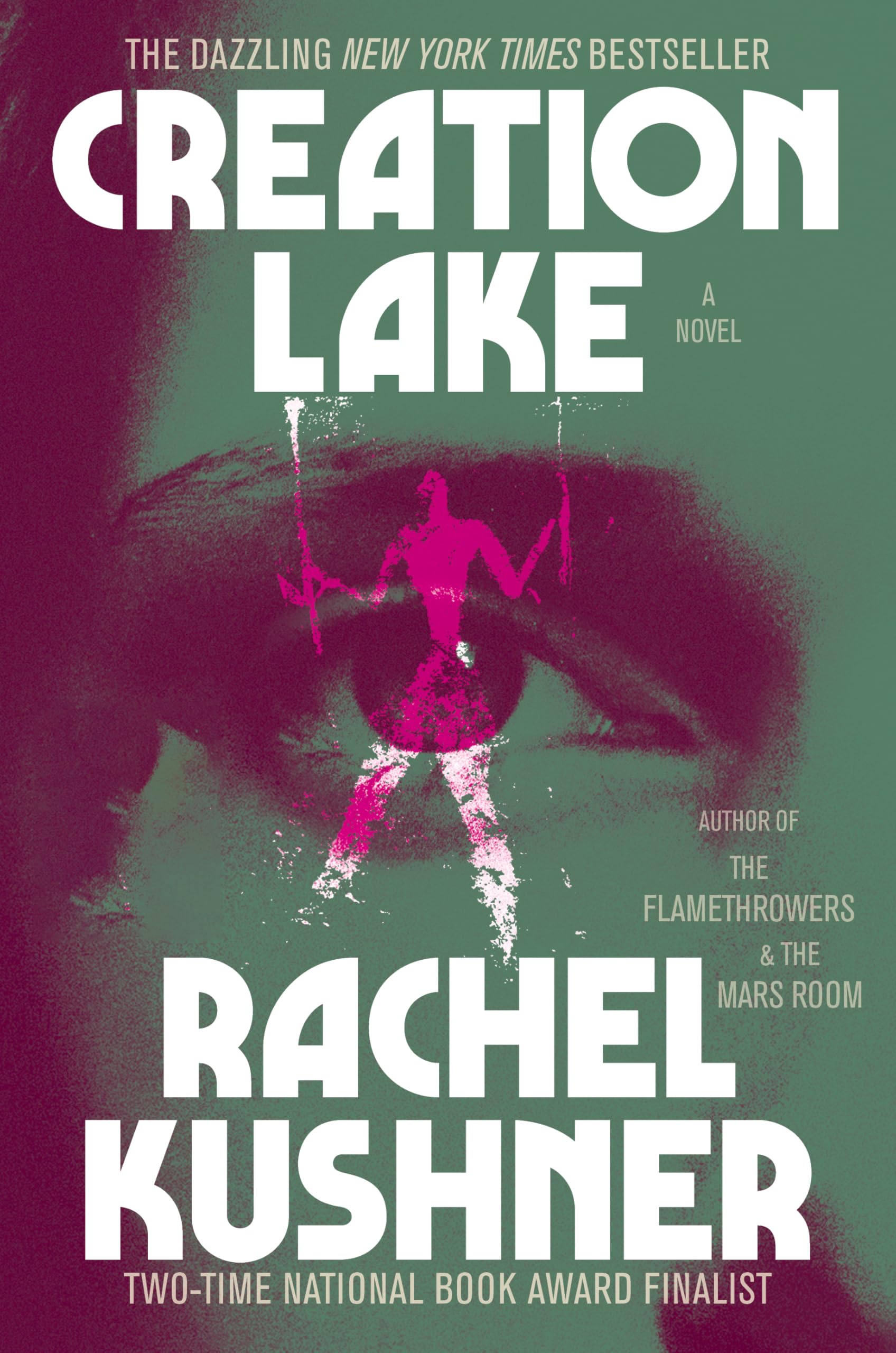 Creation Lake (Thorndike Press Large Print Top Shelf) Humour & Satire