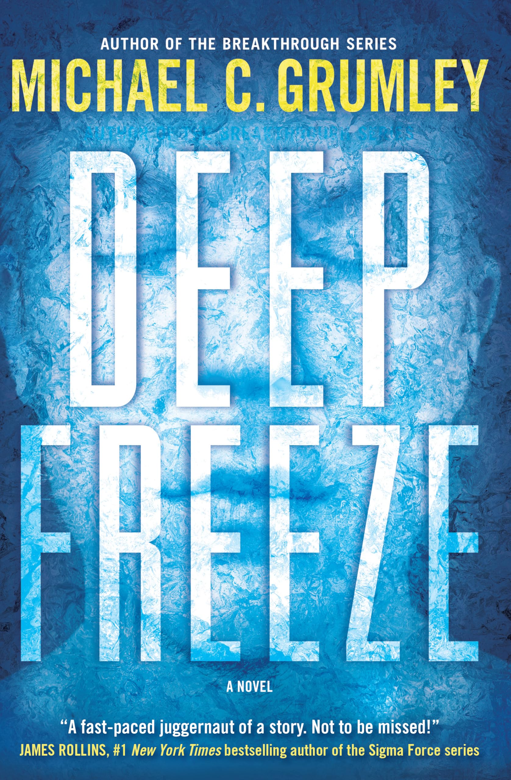 Deep Freeze (Thorndike Press; Large Print Revival, 1) Suspense & Thrillers