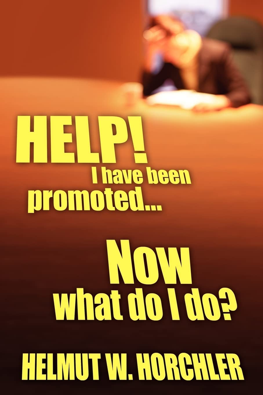 HELP! I have been promoted...Now what do I do? Business, Finance & Career
