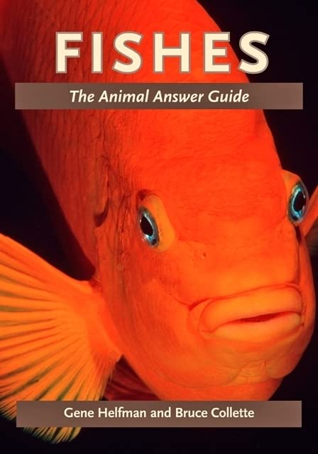 Fishes: The Animal Answer Guide (Animal Answer Guide: Q&A for the Curious Naturalist) Mathematics
