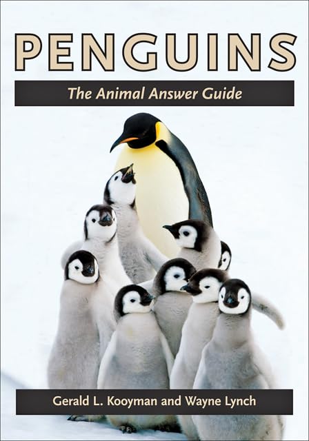 Penguins Mathematics