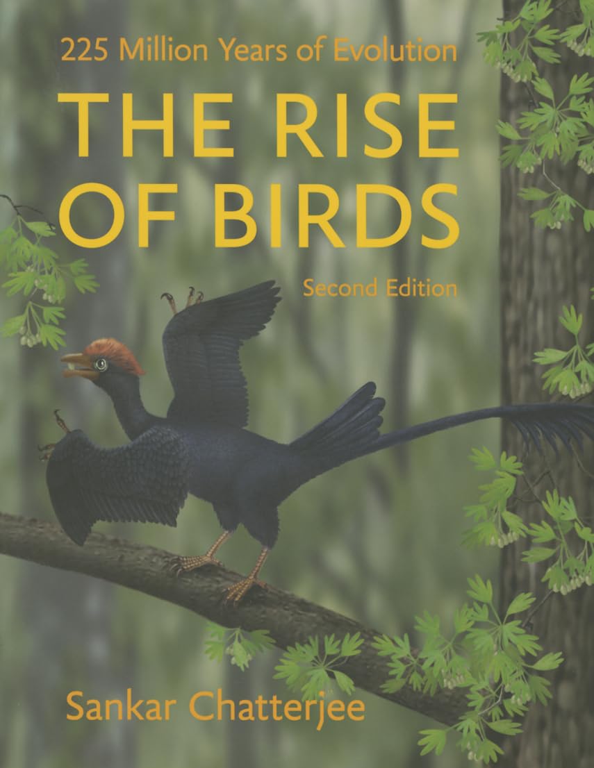 The Rise of Birds: 225 Million Years of Evolution Mathematics