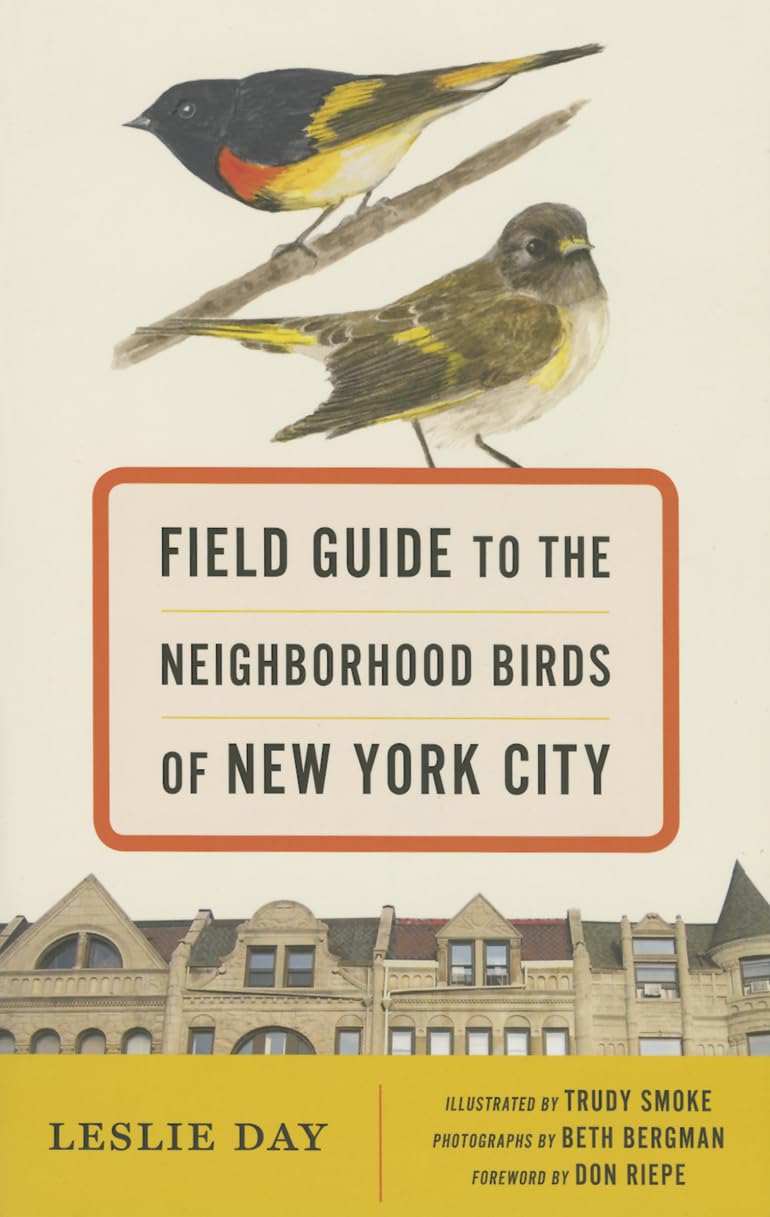 Field Guide to the Neighborhood Birds of New York City Mathematics
