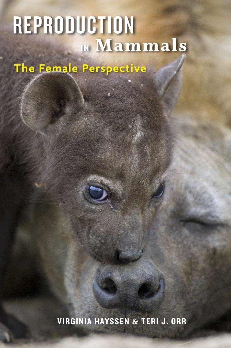 Reproduction in Mammals: The Female Perspective Mathematics