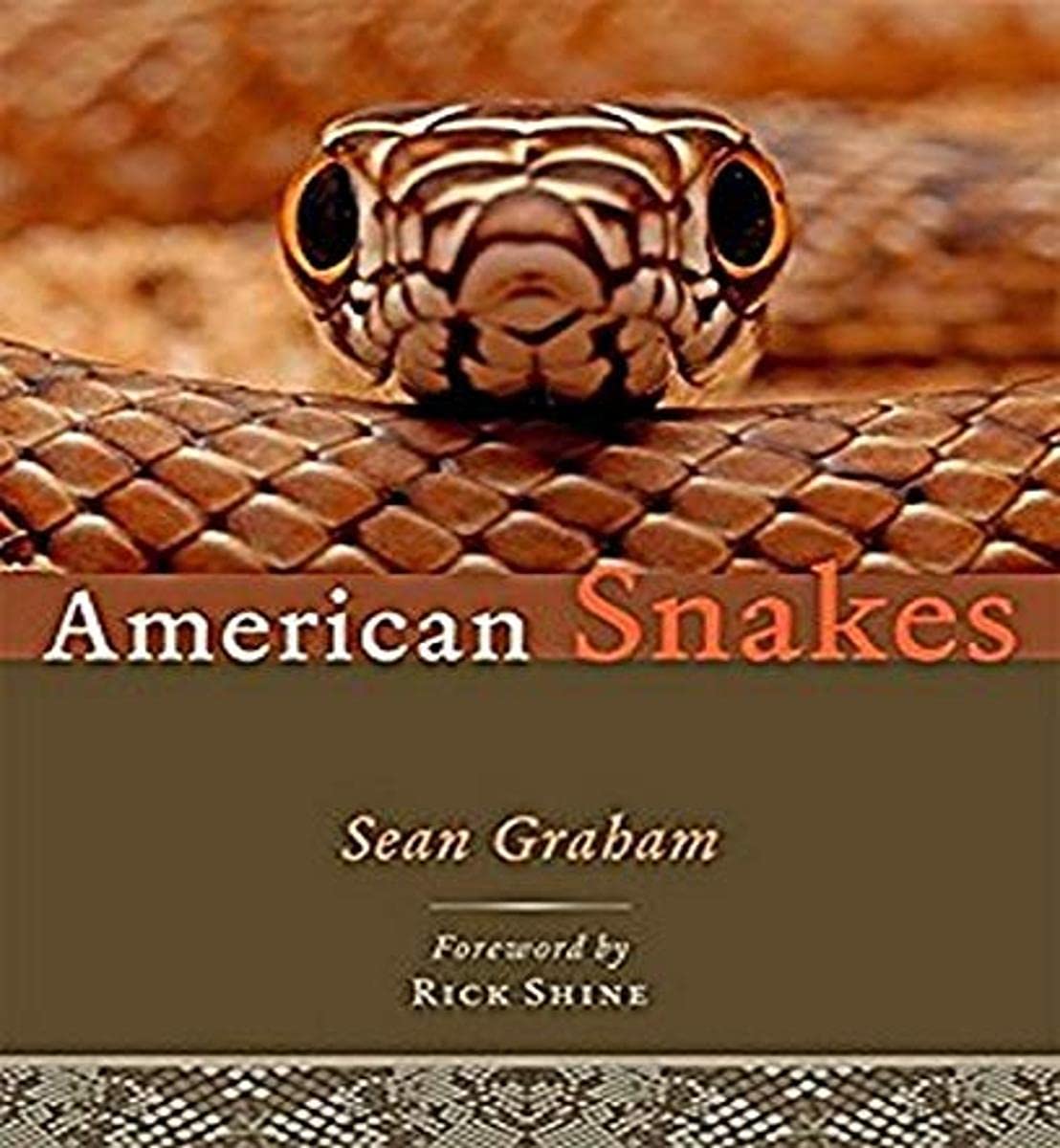 Product Image: American Snakes
