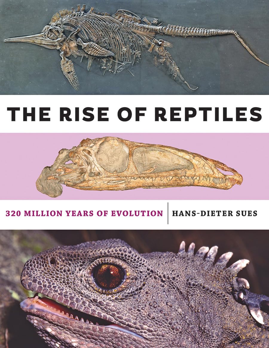 The Rise of Reptiles: 320 Million Years of Evolution Mathematics