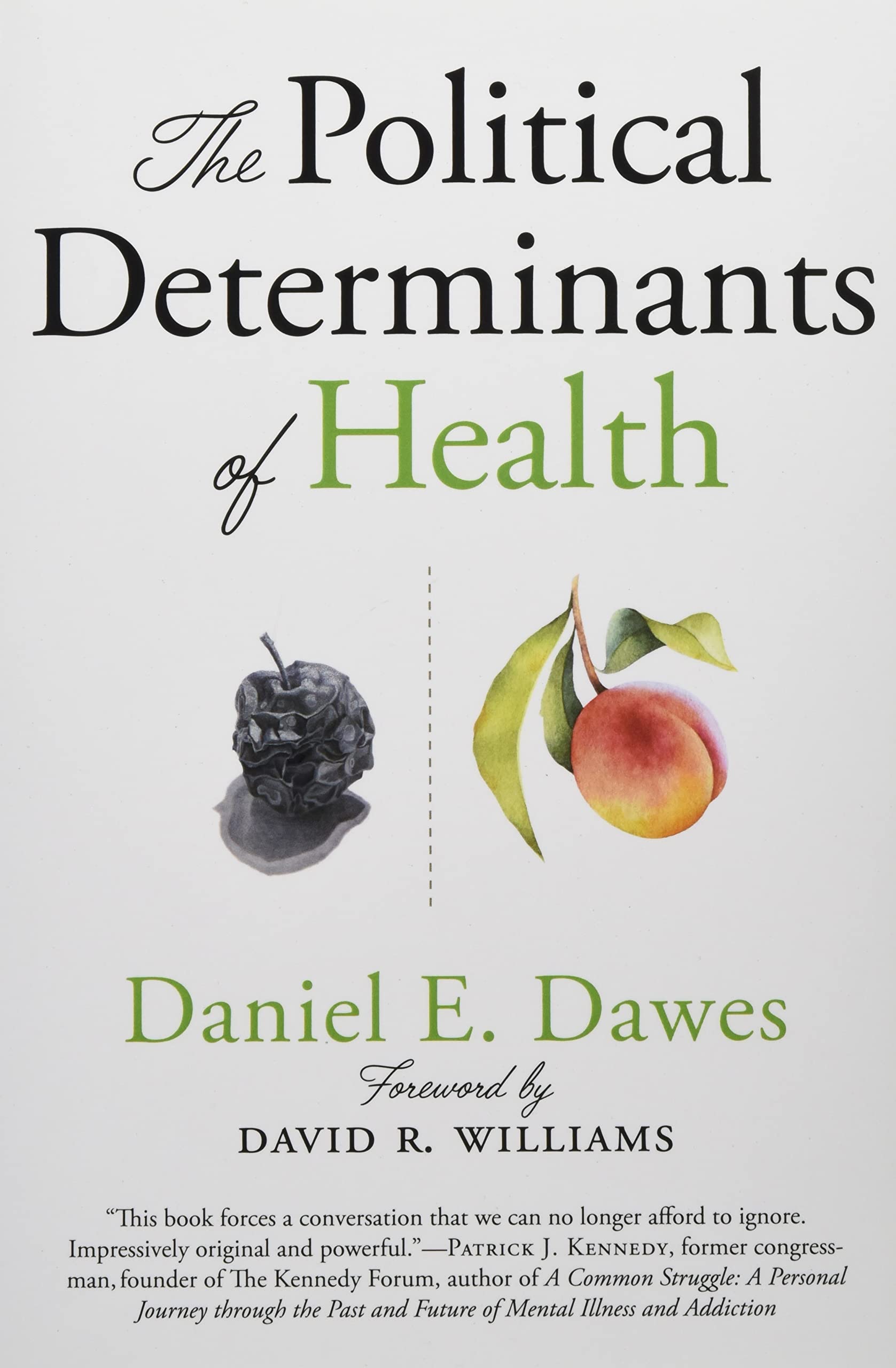 The Political Determinants of Health Medicine