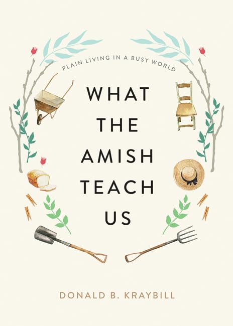 What the Amish Teach Us book