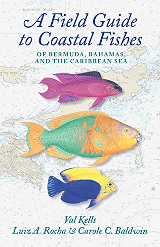 A Field Guide to Coastal Fishes of Bermuda, Bahamas, and the Caribbean Sea Mathematics