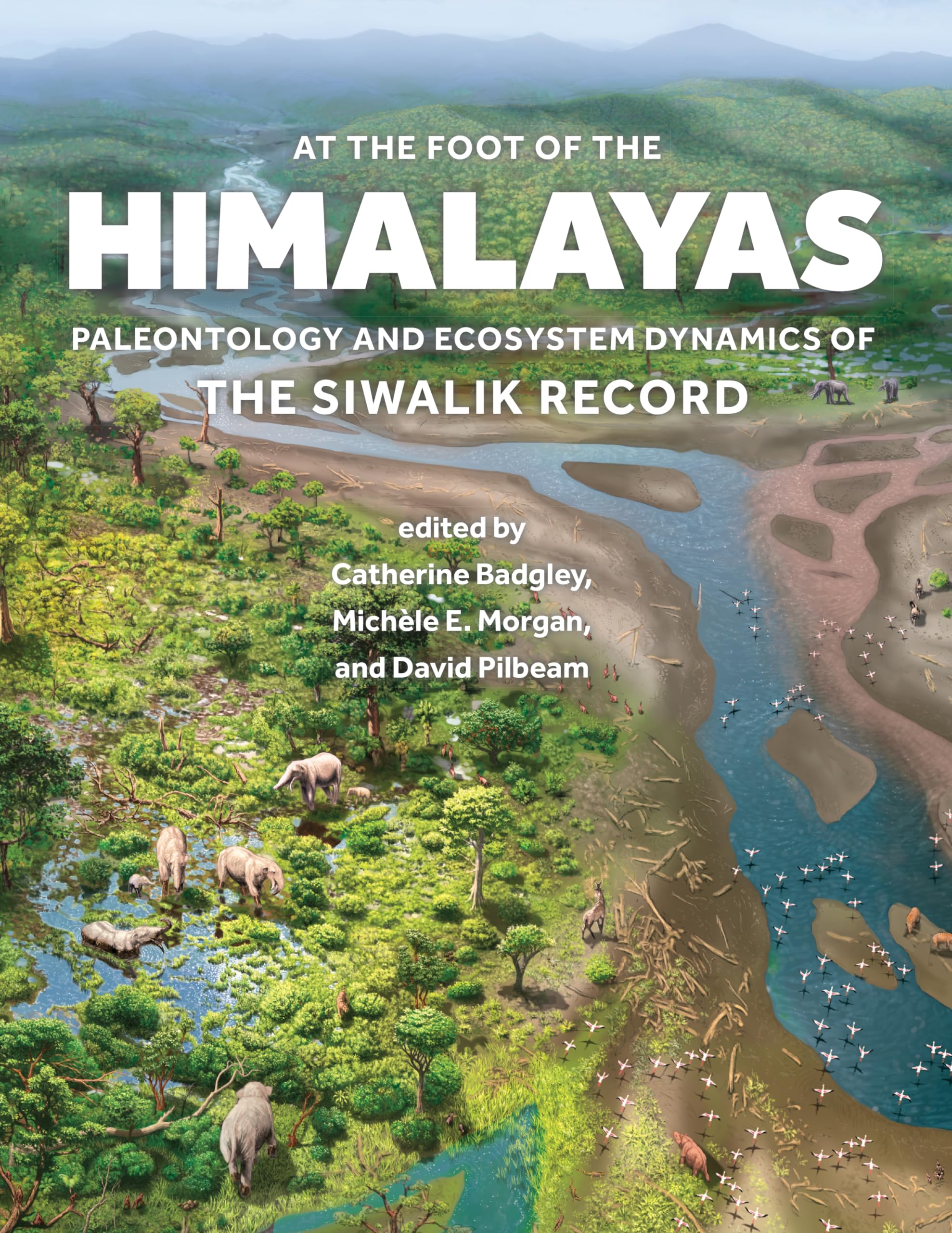At the Foot of the Himalayas: Paleontology and Ecosystem Dynamics of the Siwalik Record Business & Technology