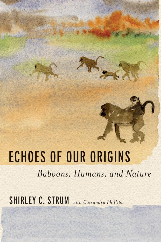 Echoes of Our Origins: Baboons, Humans and Nature Mathematics