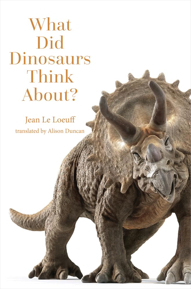 What Did Dinosaurs Think About? (Animal Worlds) Mathematics