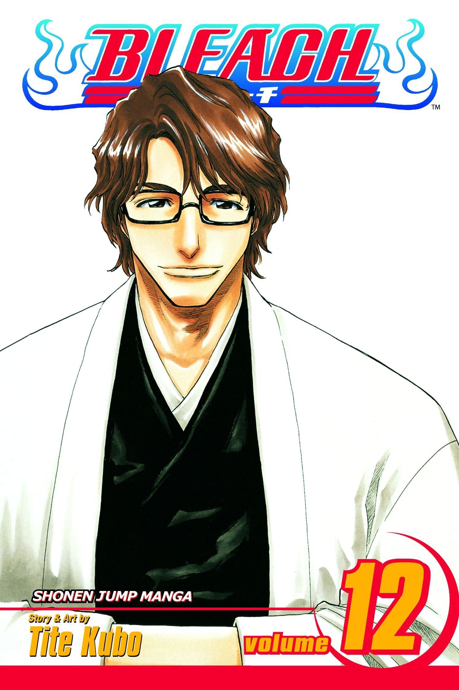 Bleach Volume 12: Flower on the Precipice (BLEACH GN, Band 12) Manga
