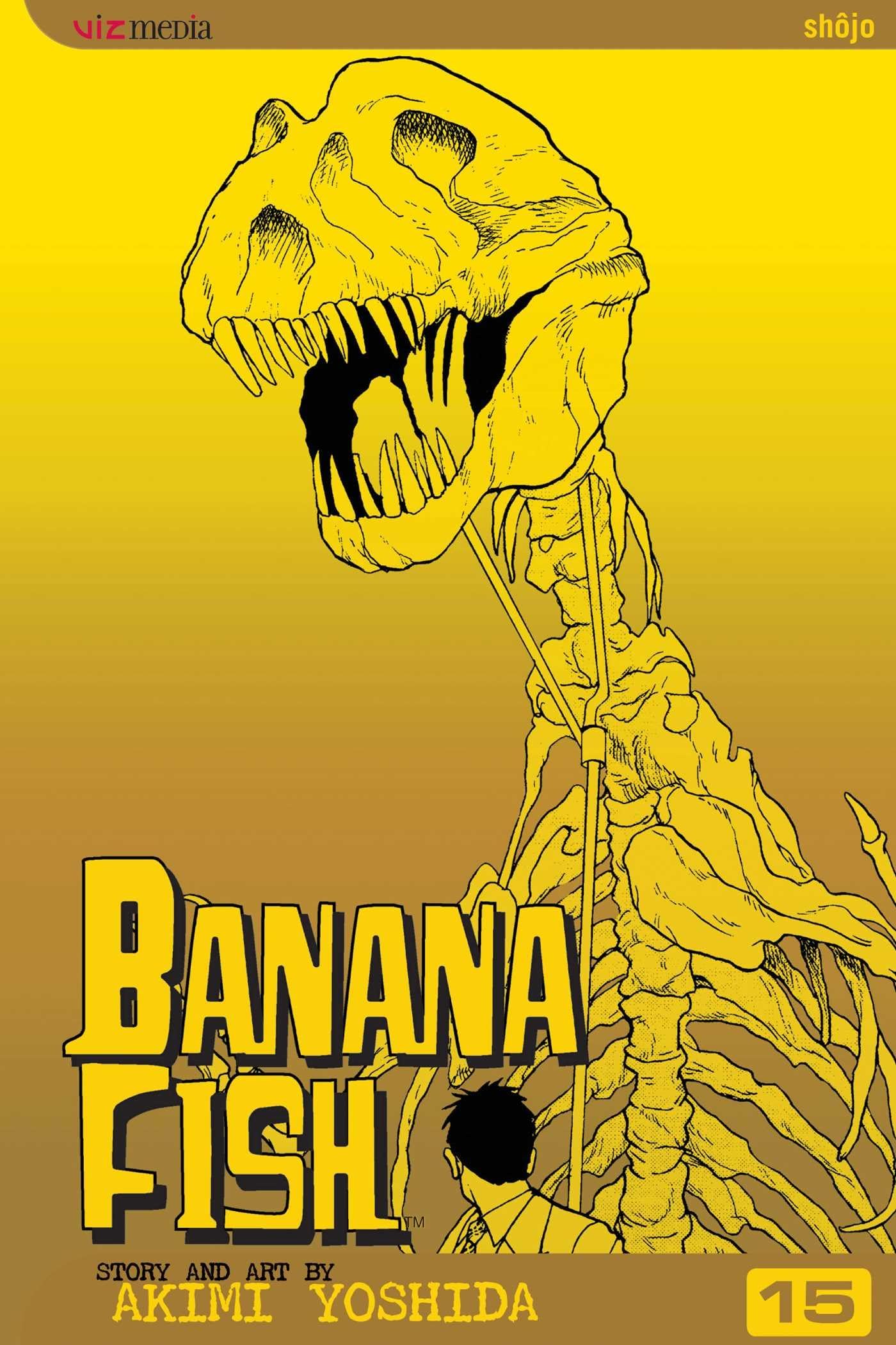 Banana Fish, Vol. 15 (BANANA FISH TP, Band 15) Manga