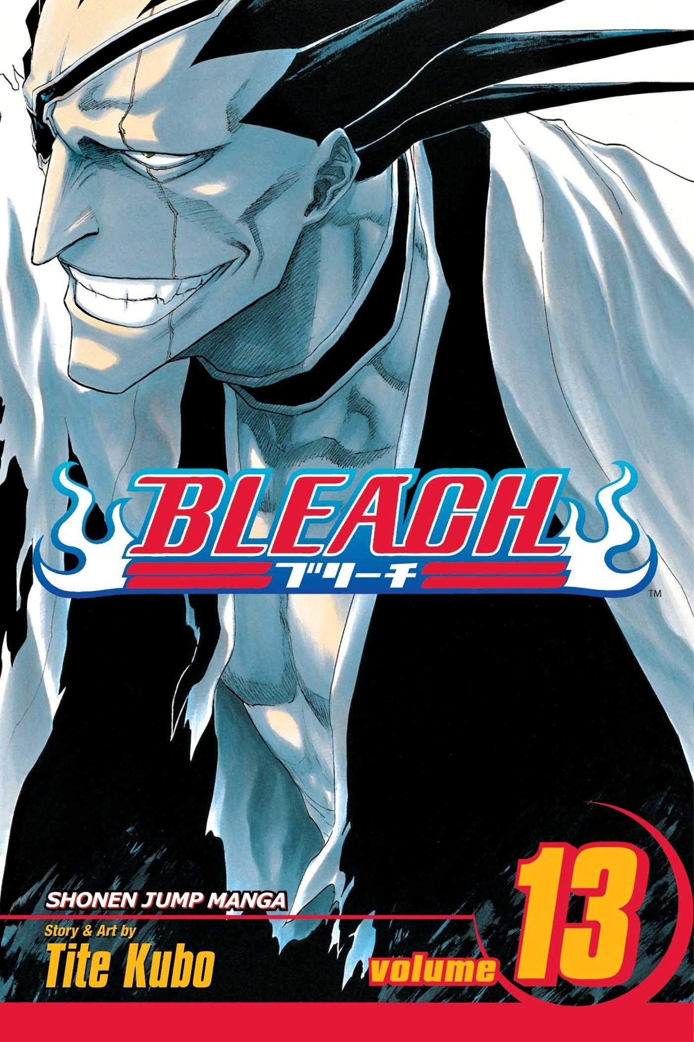 Bleach Volume 13: The Undead (BLEACH GN, Band 13) Manga