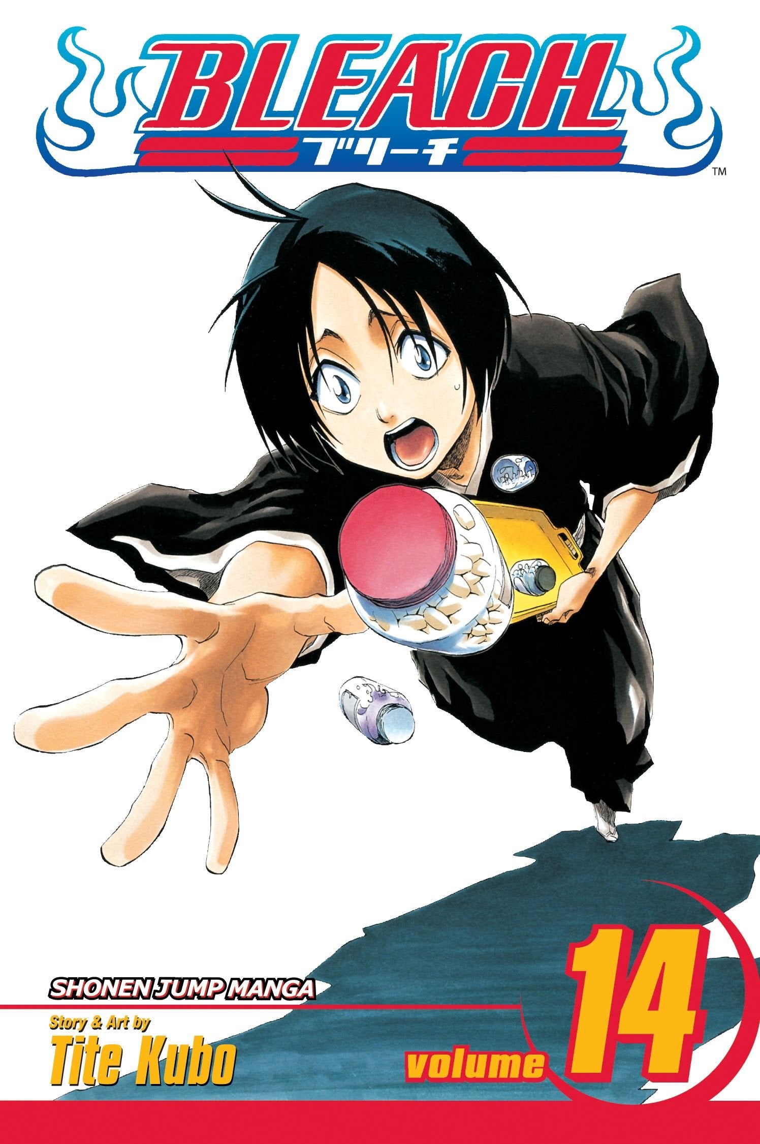 Bleach, Vol. 14 Manga