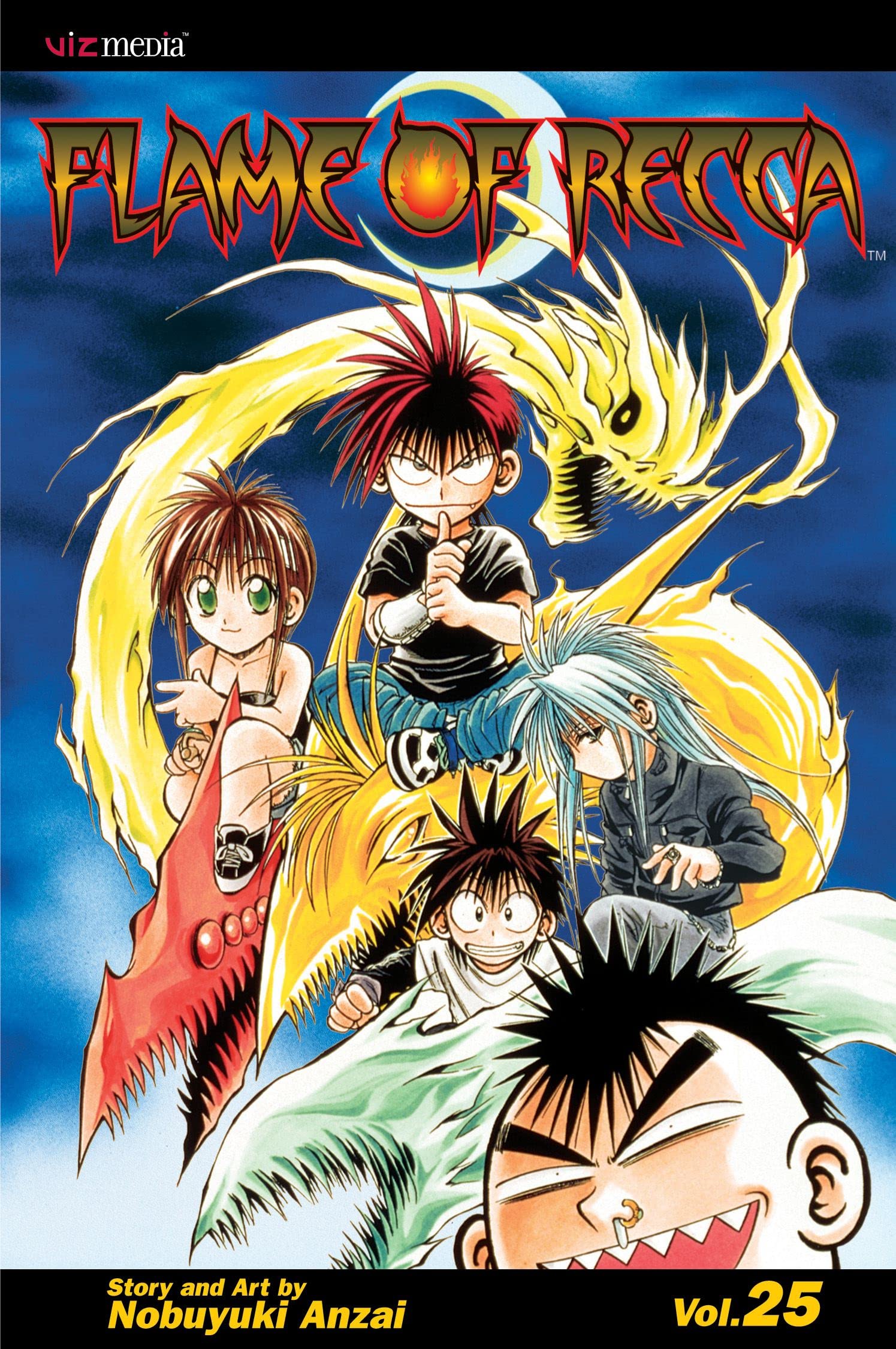 Flame of Recca, Vol. 25 (Volume 25) book