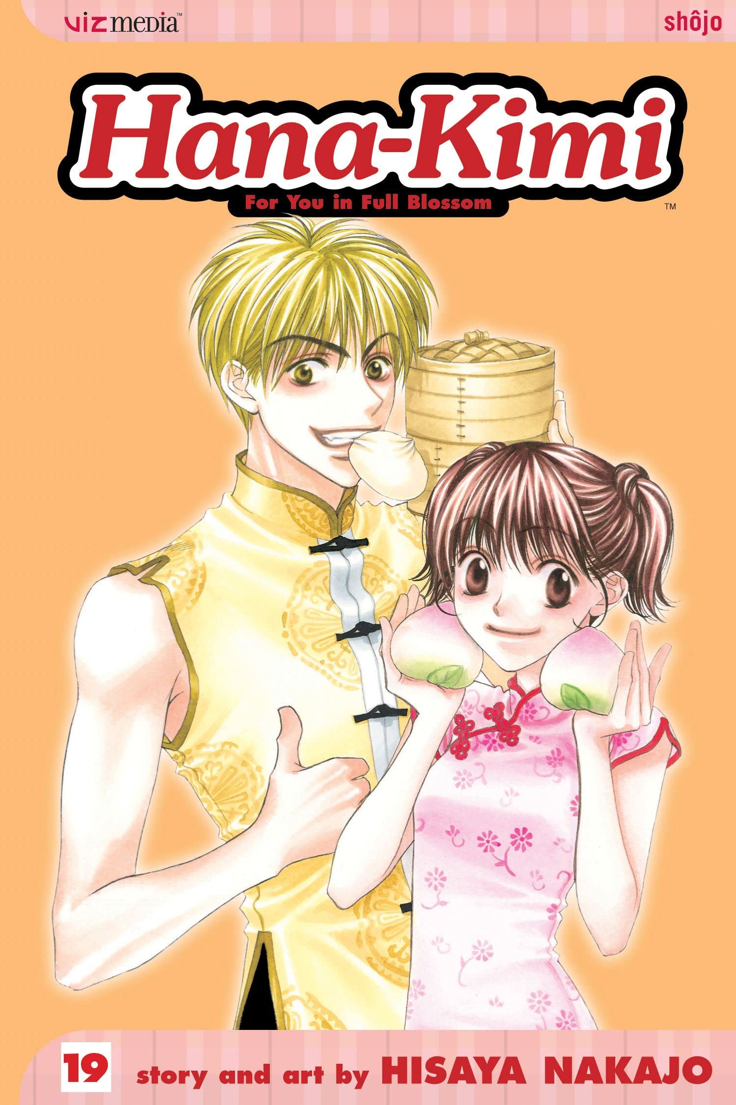 Hana-Kimi, Vol. 19 (Volume 19) Manga