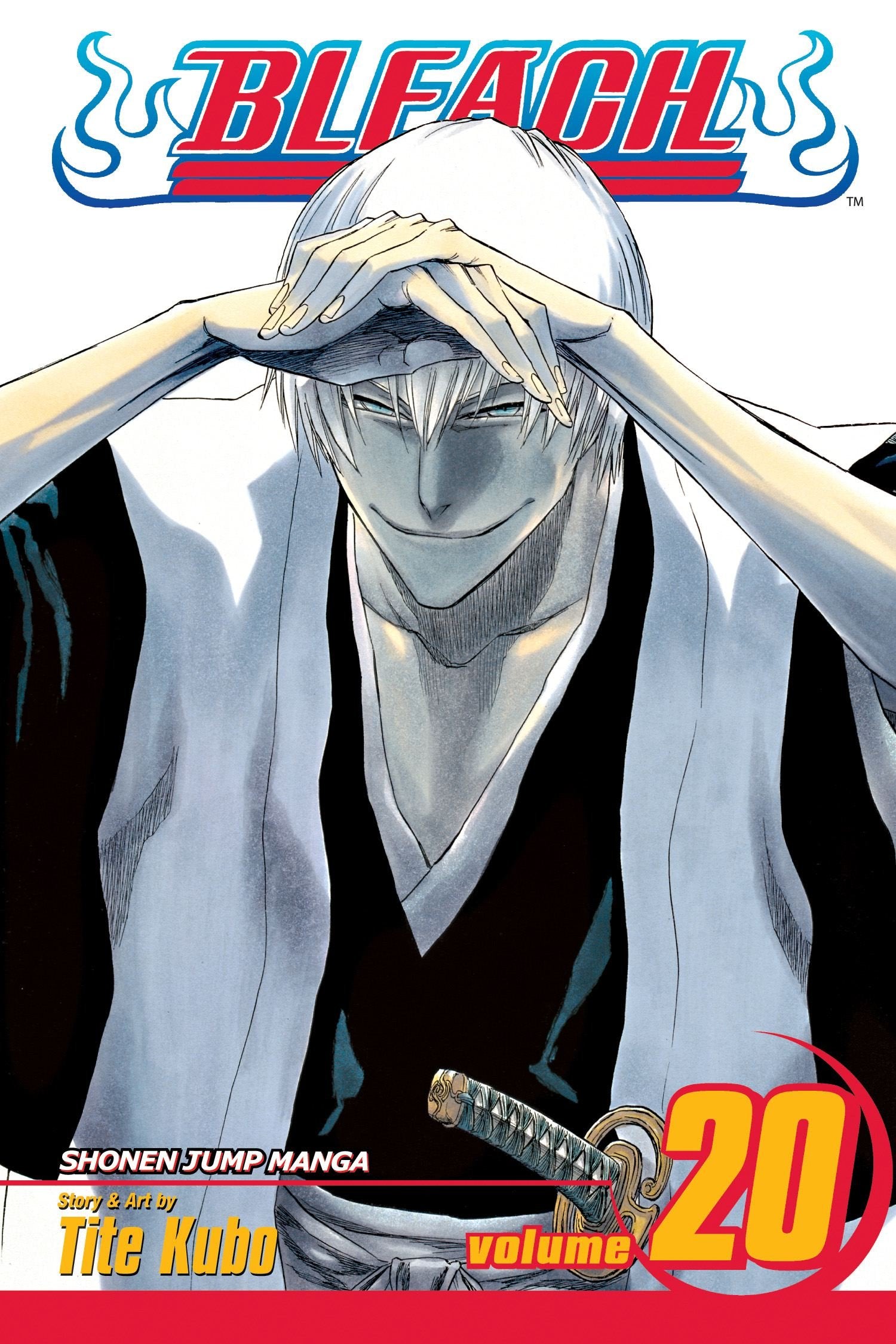 Bleach, Vol. 20 Manga