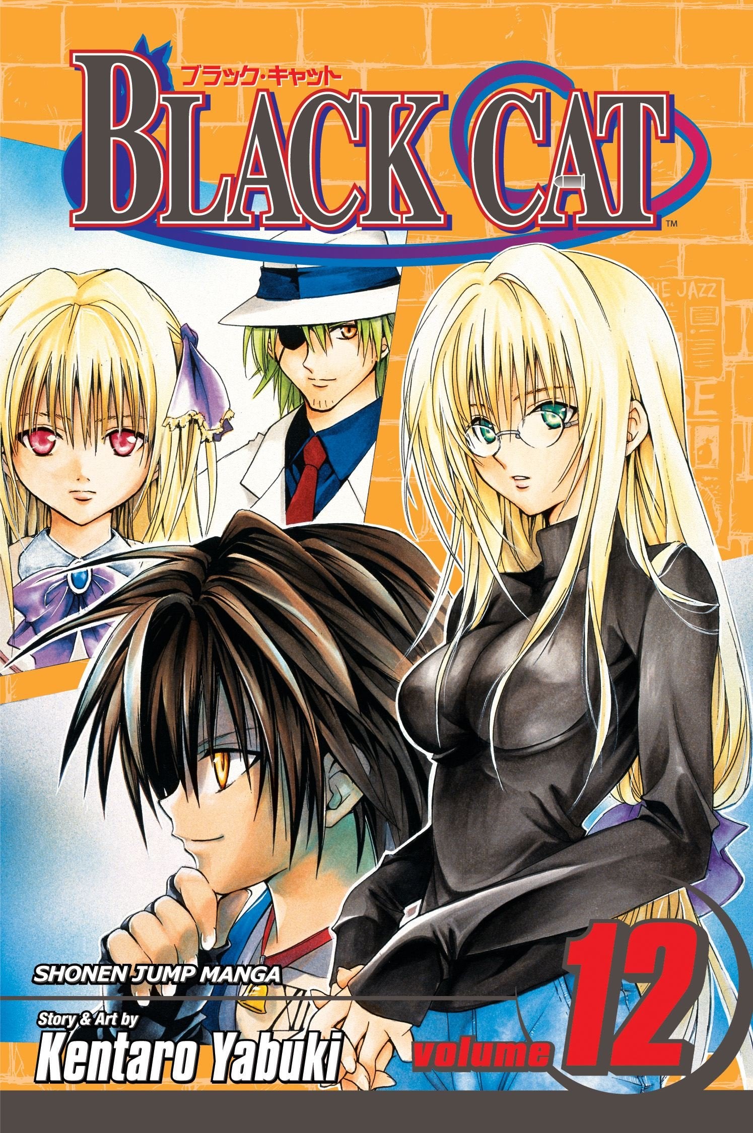 Black Cat, Vol. 12 (Volume 12): The New Weapon Manga