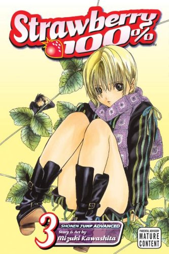 Strawberry 100% 3: A Fateful Film Trip book
