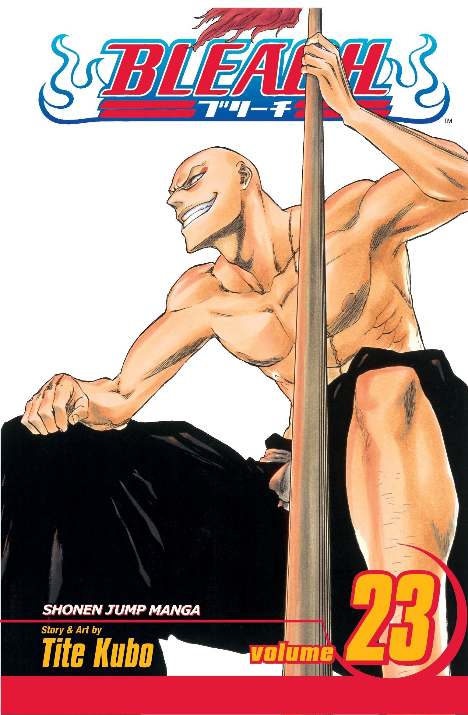 Bleach, Vol. 23 Manga