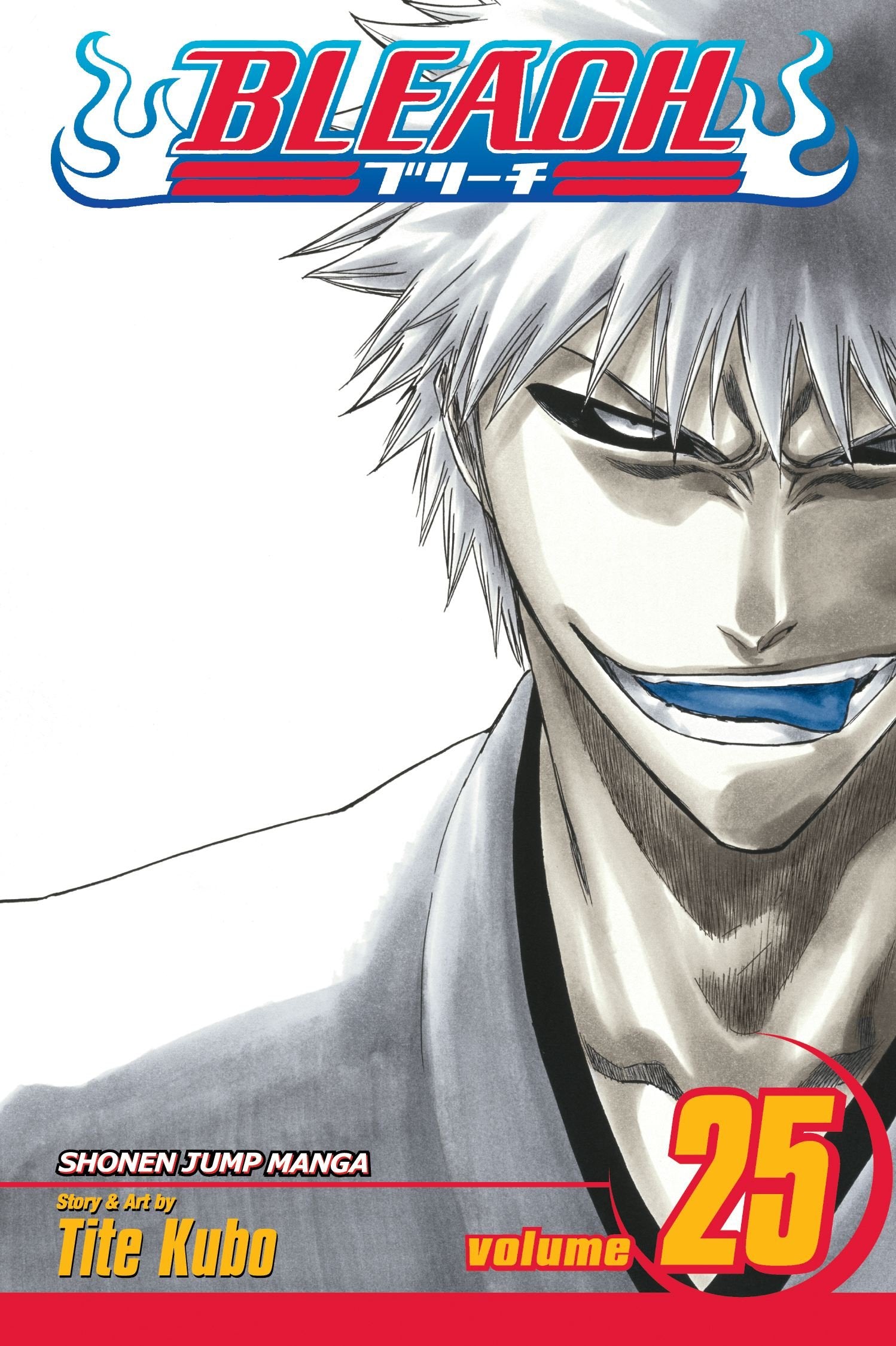 Bleach Volume 25: No Shaking Throne (BLEACH GN, Band 25) Manga