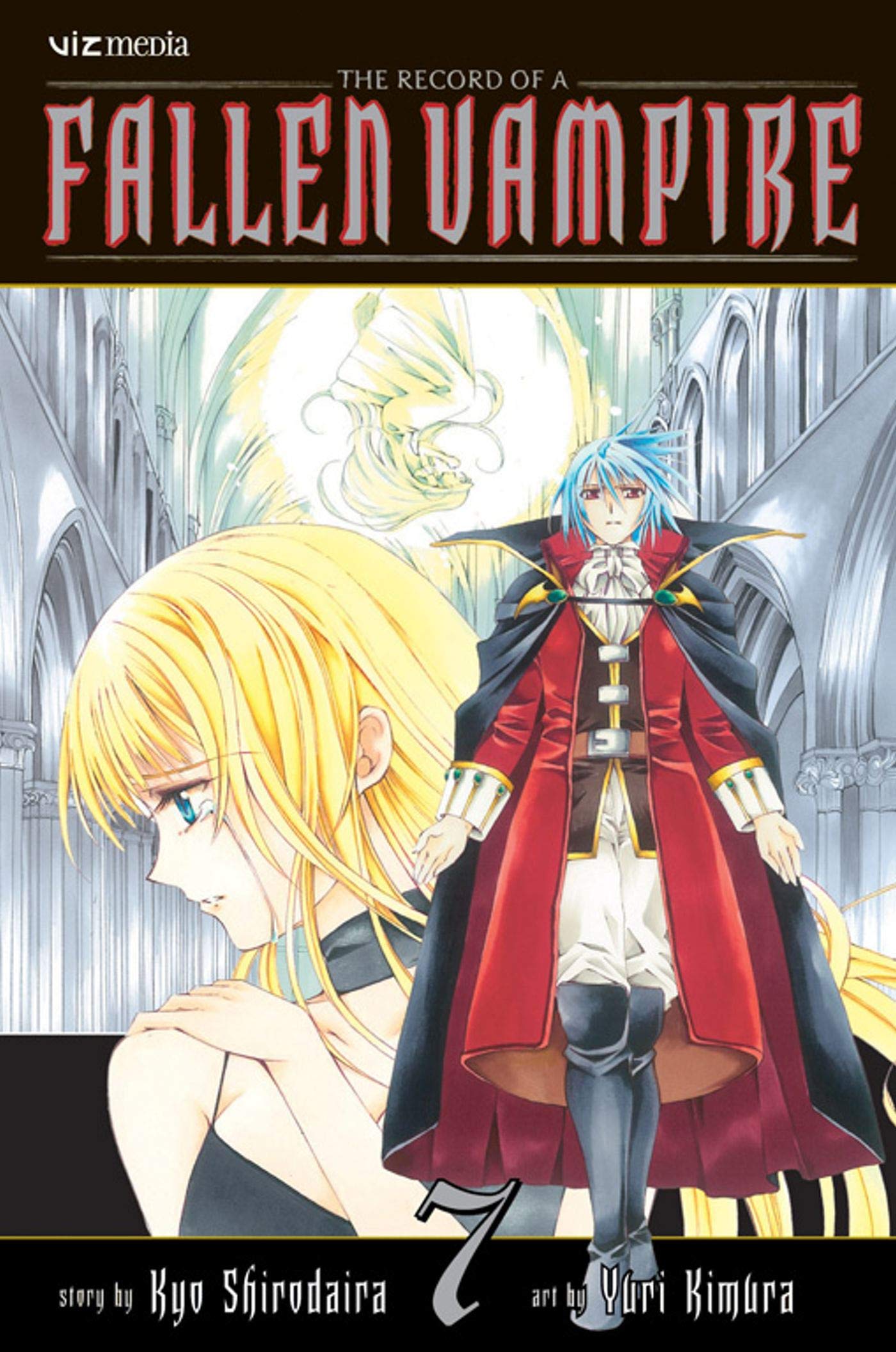 The Record of a Fallen Vampire 7 book