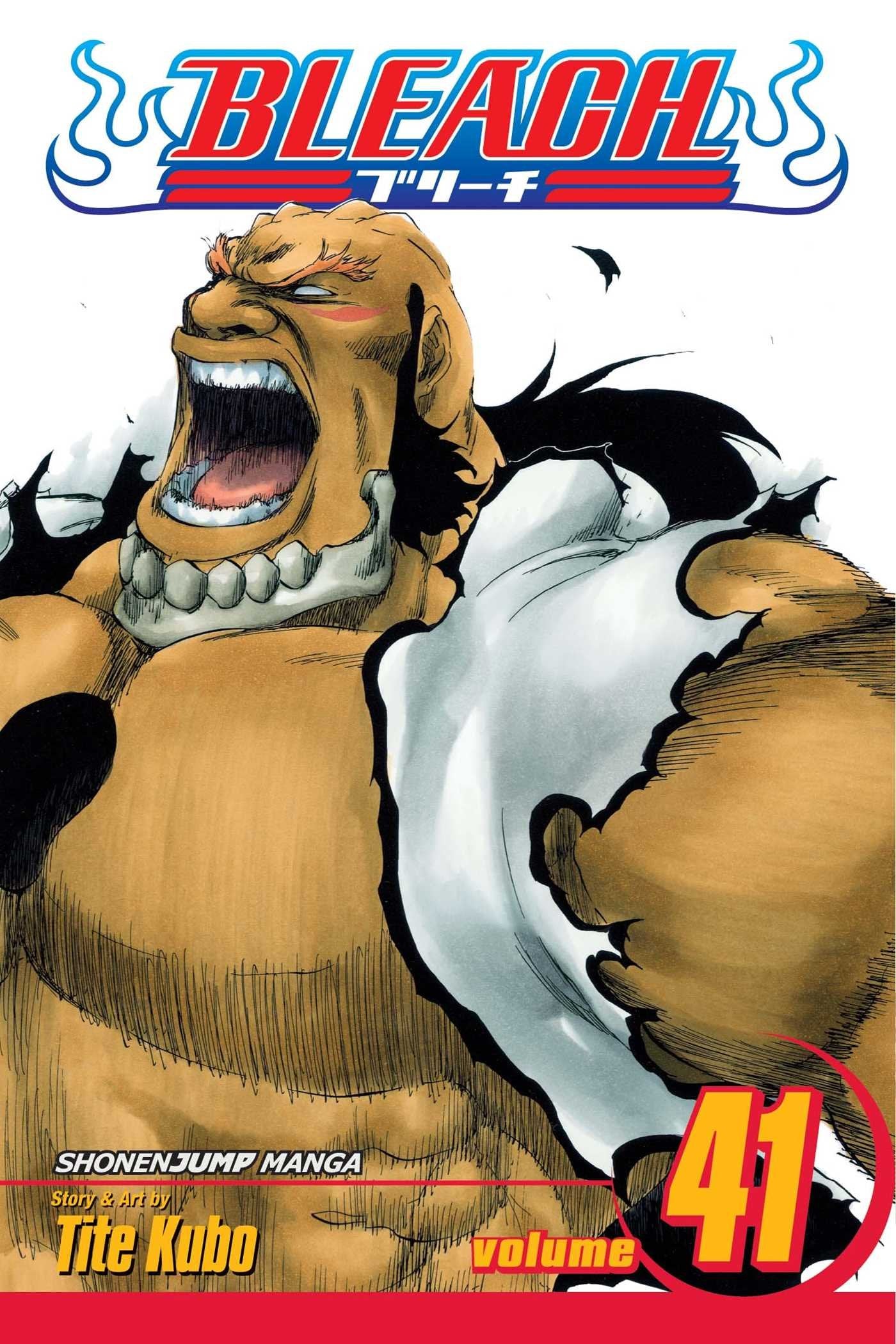 Bleach Volume 41: Heart (BLEACH GN, Band 41) Manga