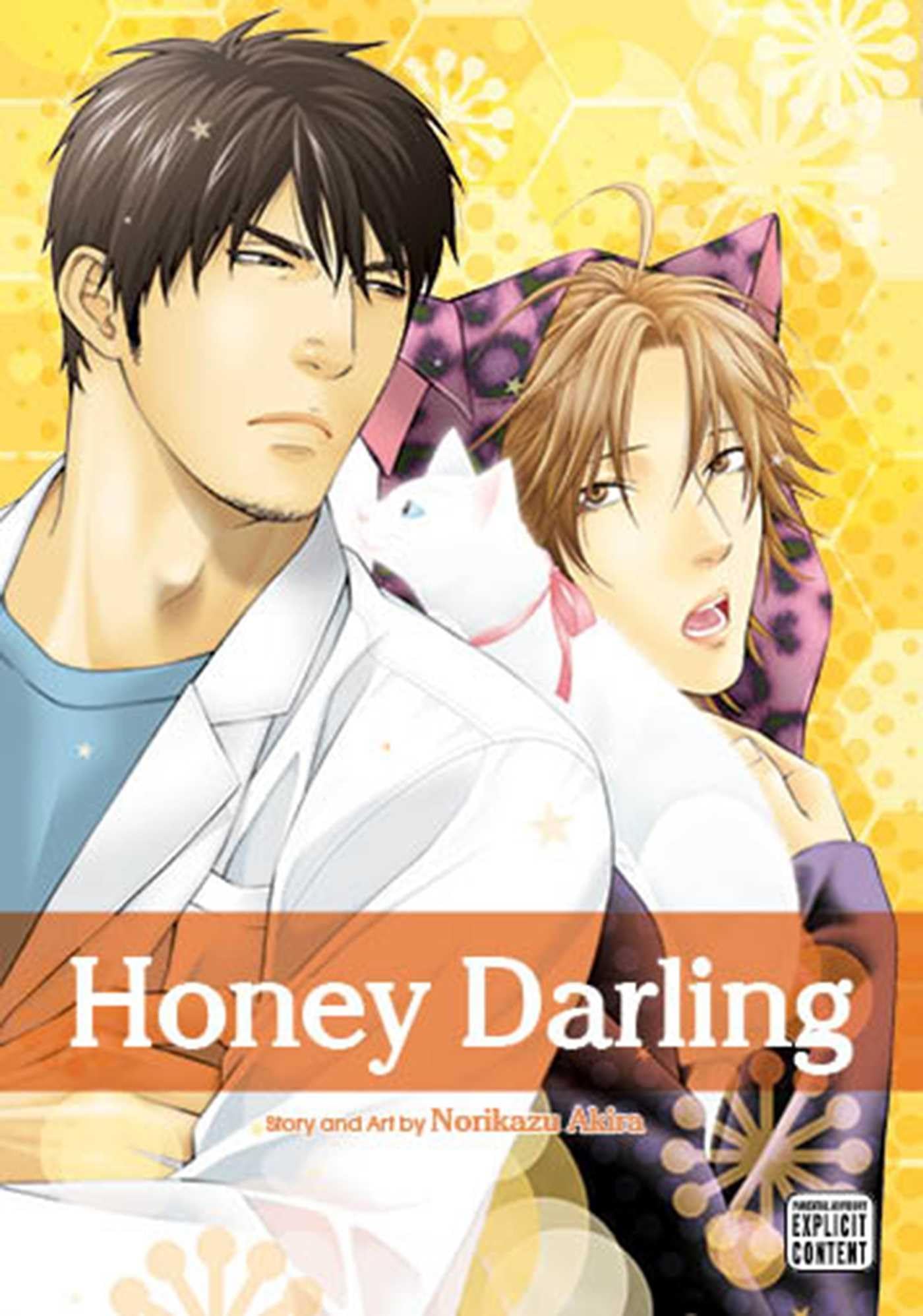 HONEY DARLING GN Manga
