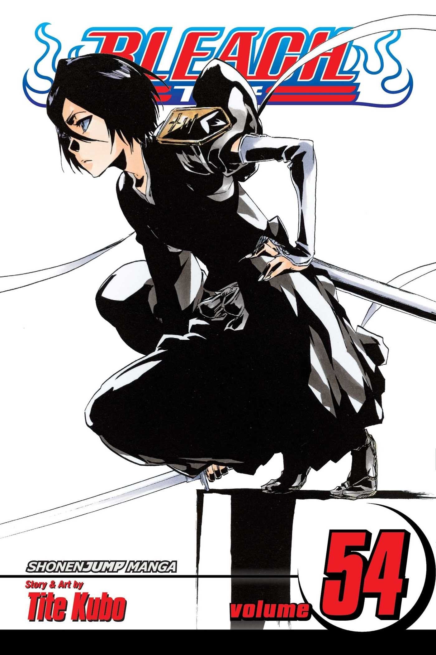 Bleach Volume 54: Goodbye to Our Xcution (BLEACH GN, Band 54) Manga