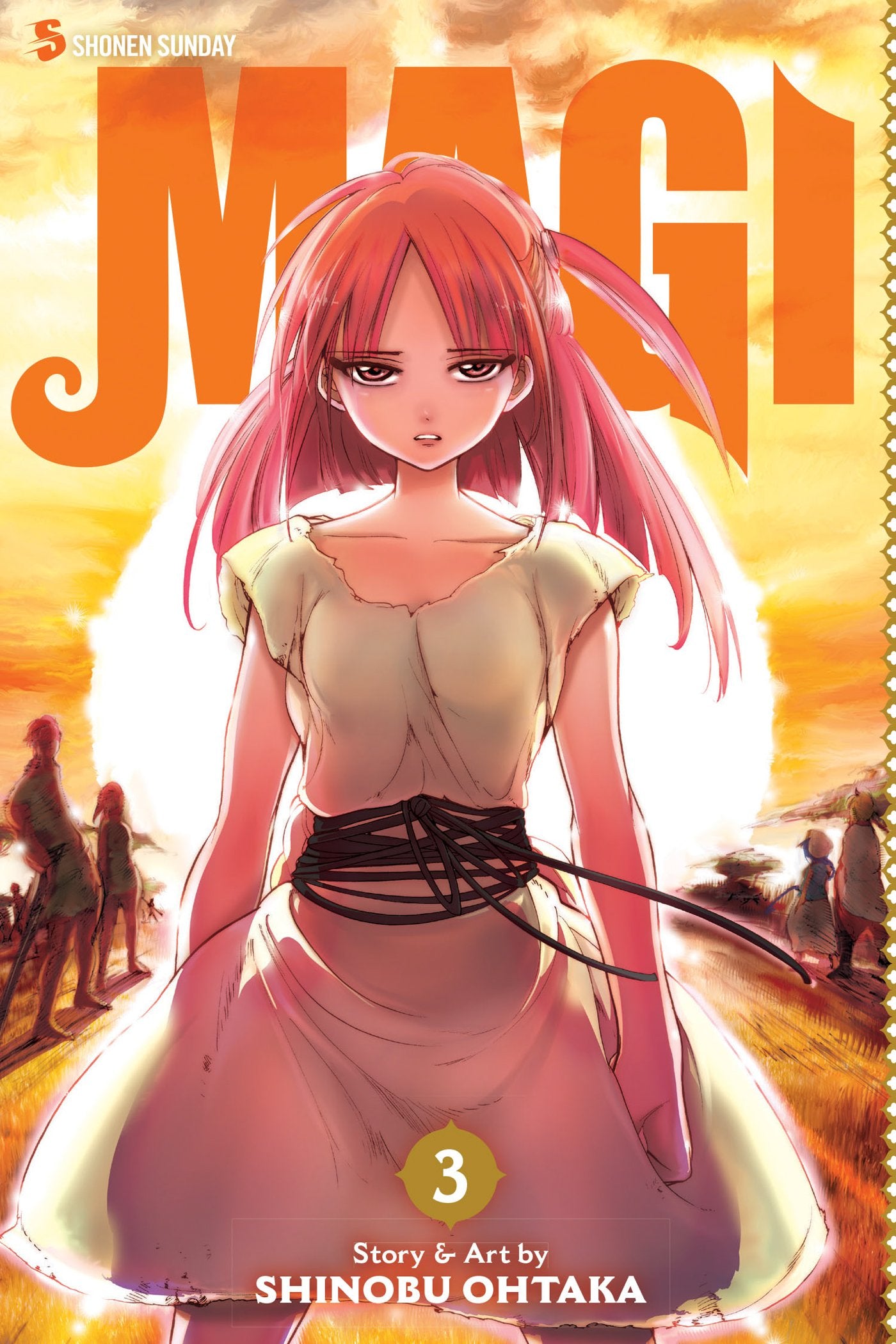 Magi: The Labyrinth of Magic, Vol. 3 book